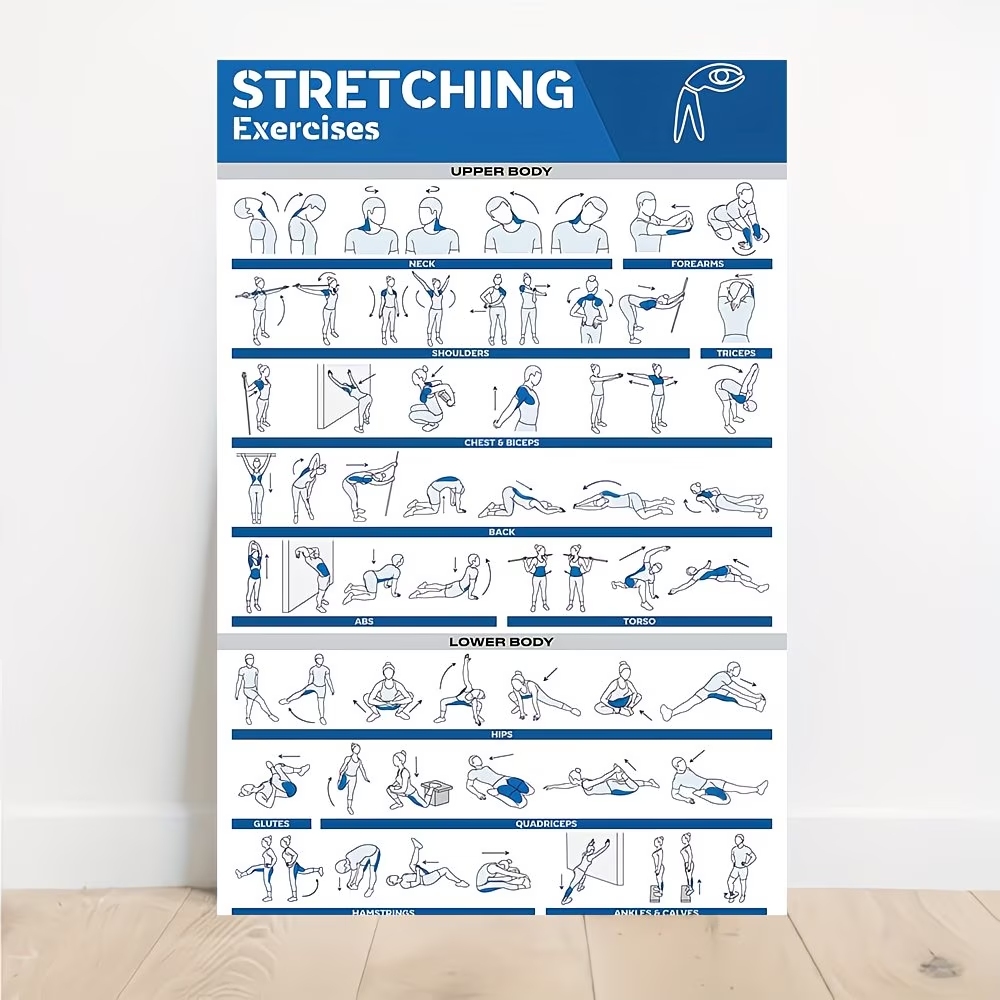 Modern Etiketli Tam Vücut Germ - Home Gym Room incelemesi ve fiyatı