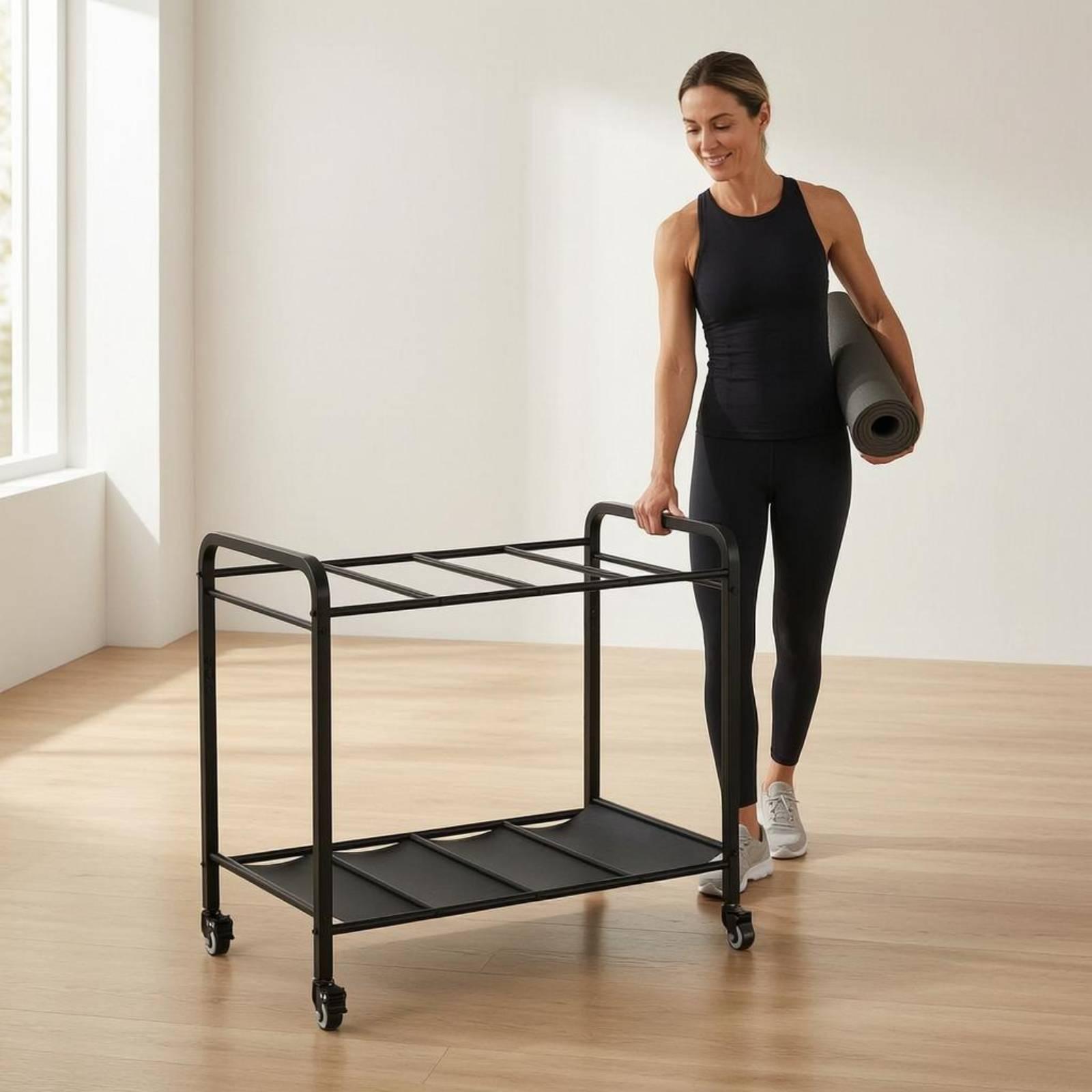 Fitness Ekipmanı Düzenleyici,  - Home Gym Gear incelemesi ve fiyatı